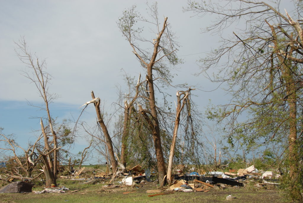 Trees snapped off after a tornado