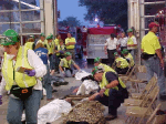 Emergency Responders at a training event assessing